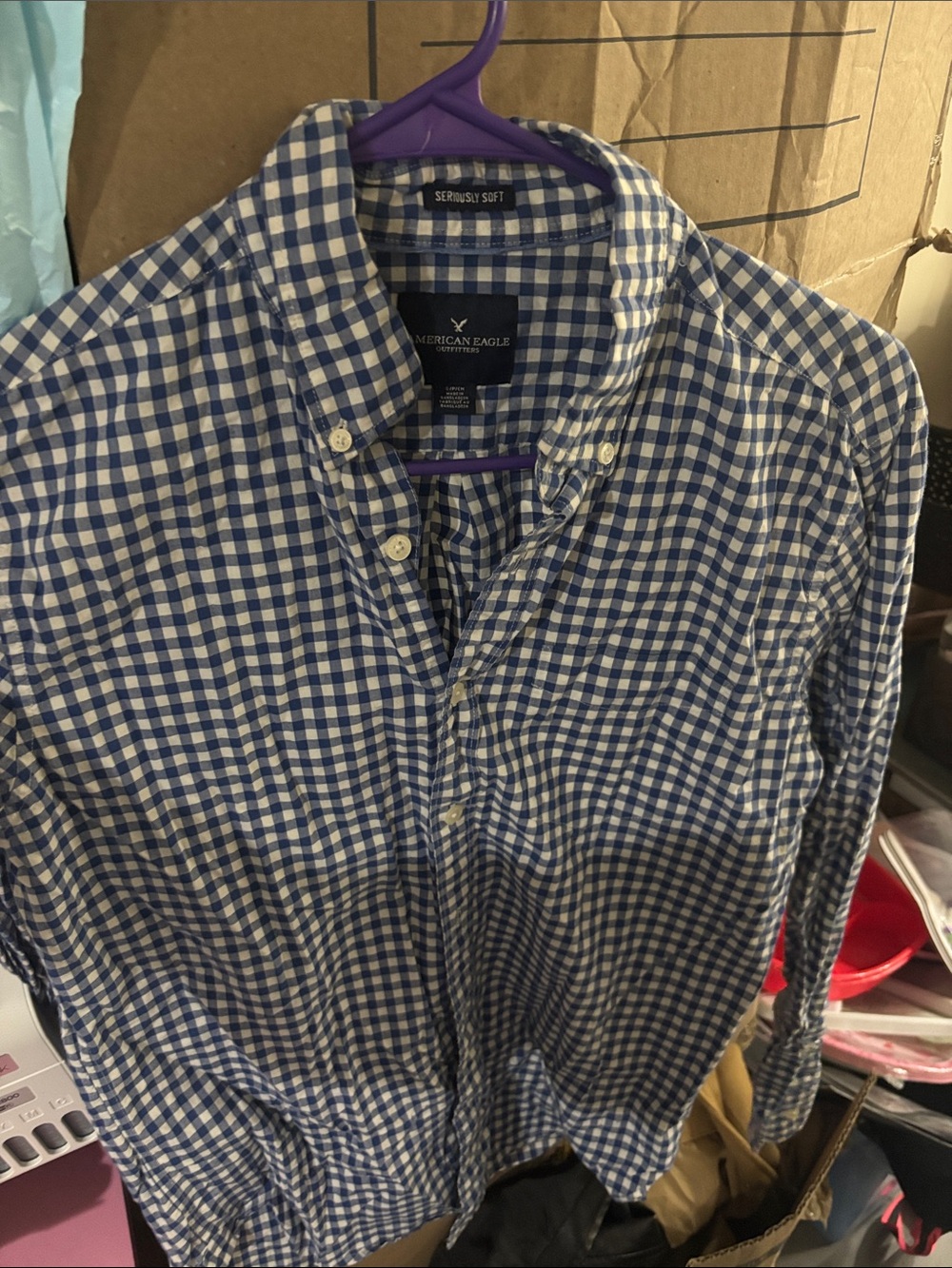 American Eagle Outfitters Blue and White Gingham Button-Down Shirt
